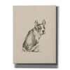 'Puppy Dog Eyes IV' by Ethan Harper Canvas Wall Art,Size C Portrait