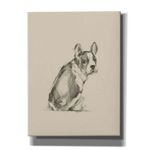 'Puppy Dog Eyes IV' by Ethan Harper Canvas Wall Art,Size C Portrait