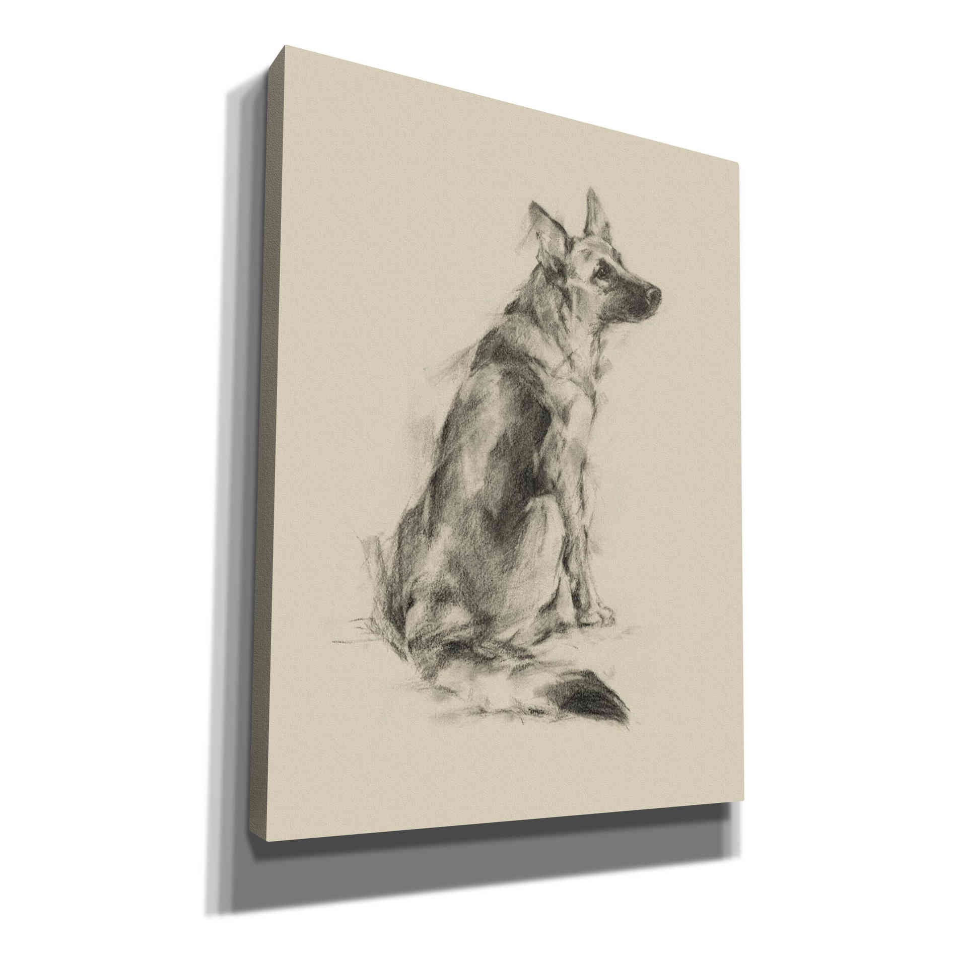 'Puppy Dog Eyes V' by Ethan Harper Canvas Wall Art,Size C Portrait