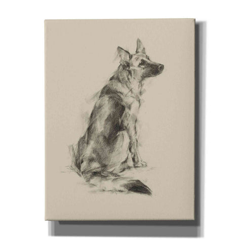 Image of 'Puppy Dog Eyes V' by Ethan Harper Canvas Wall Art,Size C Portrait