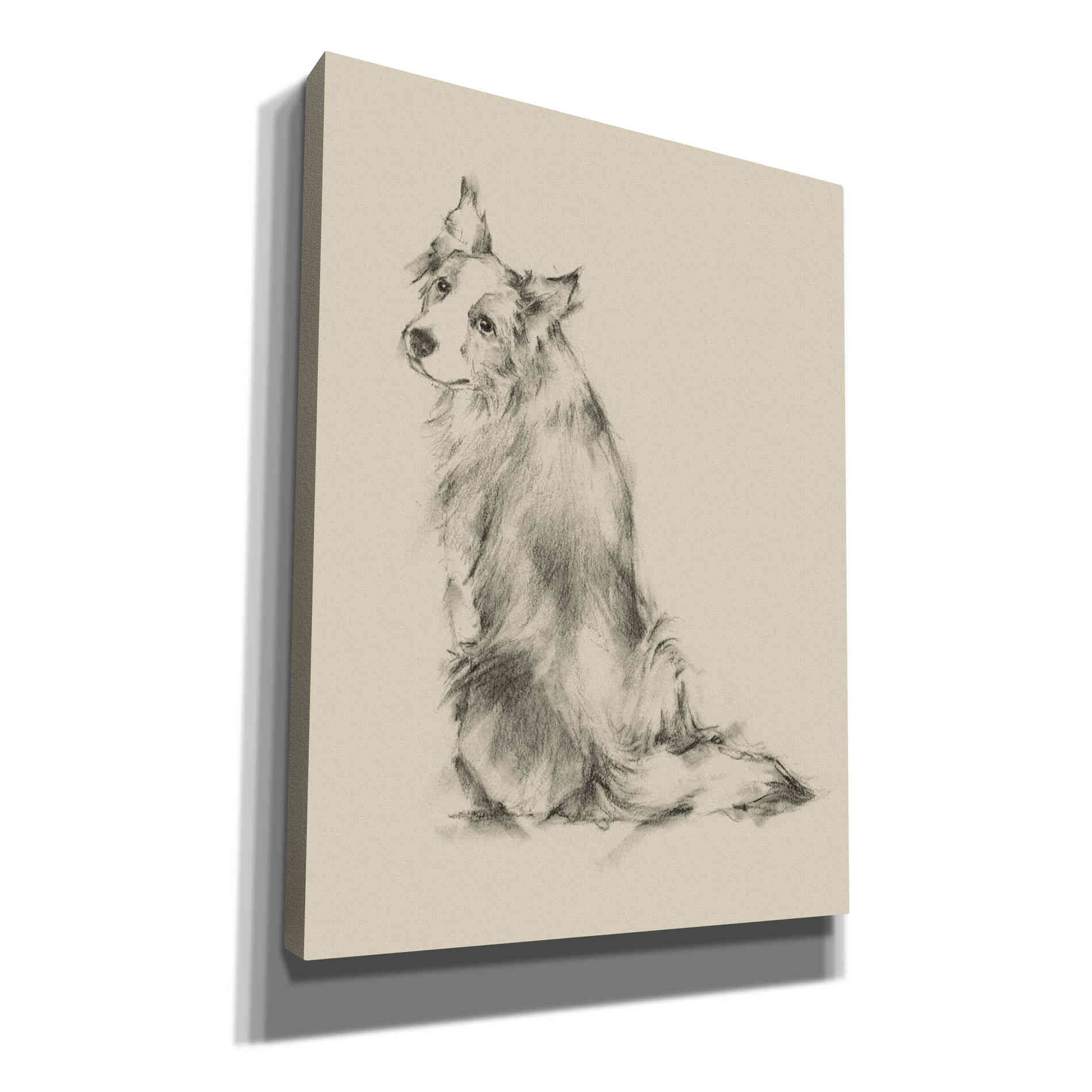 'Puppy Dog Eyes VI' by Ethan Harper Canvas Wall Art,Size C Portrait