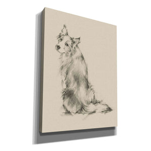 'Puppy Dog Eyes VI' by Ethan Harper Canvas Wall Art,Size C Portrait