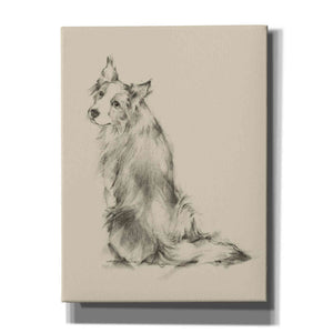 'Puppy Dog Eyes VI' by Ethan Harper Canvas Wall Art,Size C Portrait