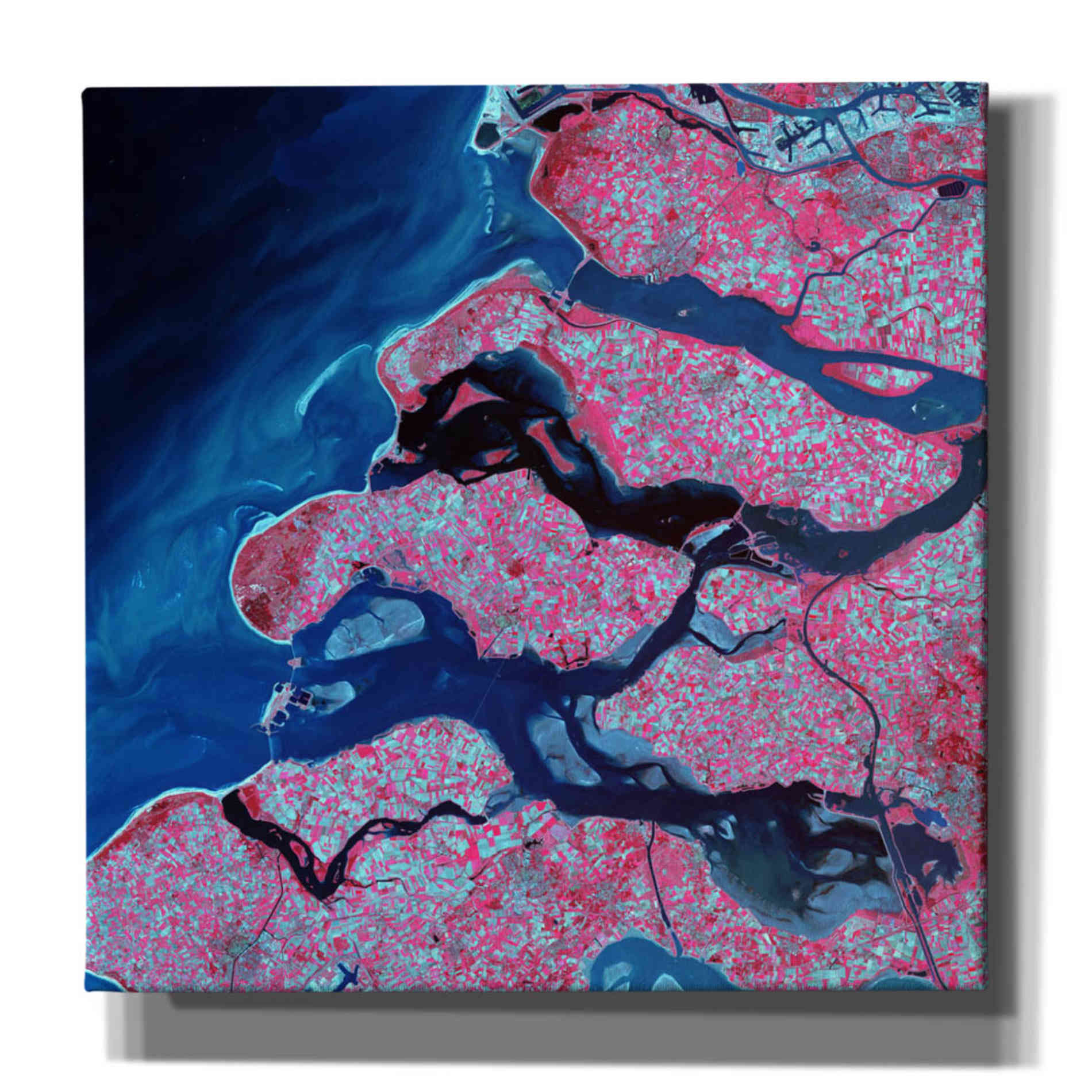 'Earth As Art: Delta Region' Canvas Wall Art