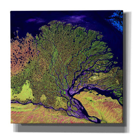 'Earth As Art: Lena Delta' Canvas Wall Art