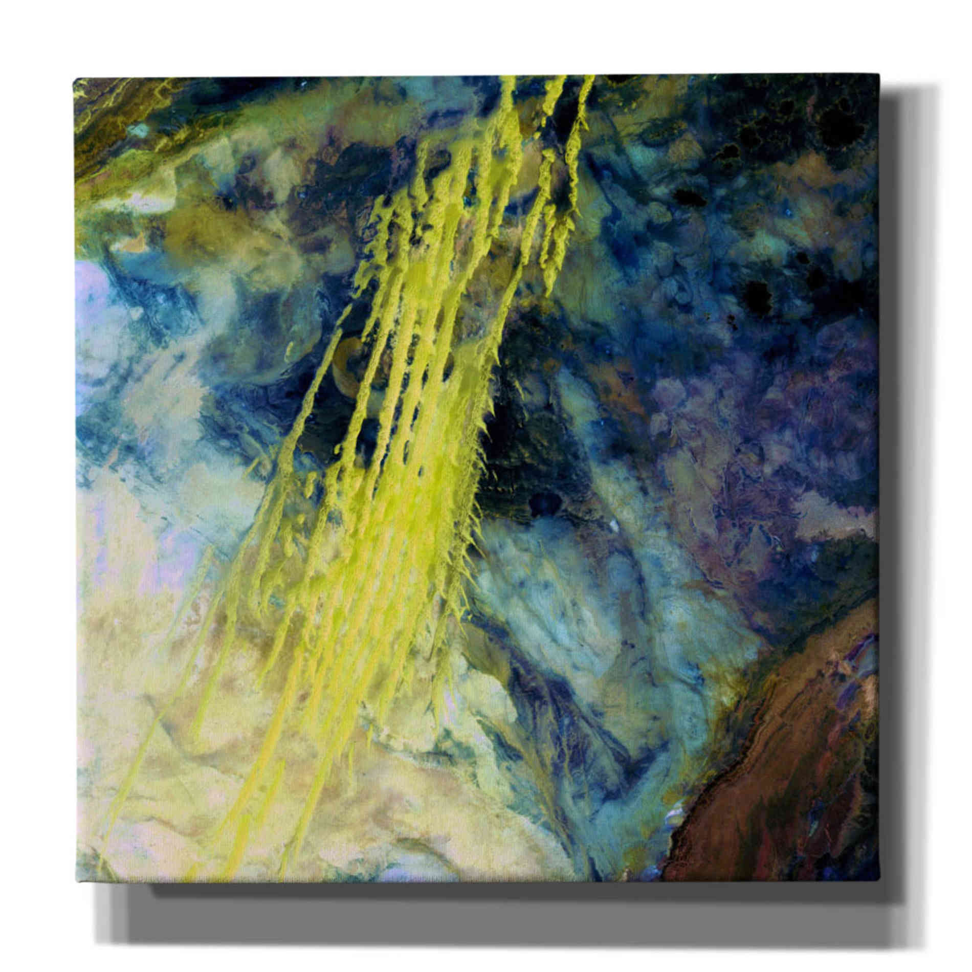 'Earth As Art: Saharan Abstract' Canvas Wall Art