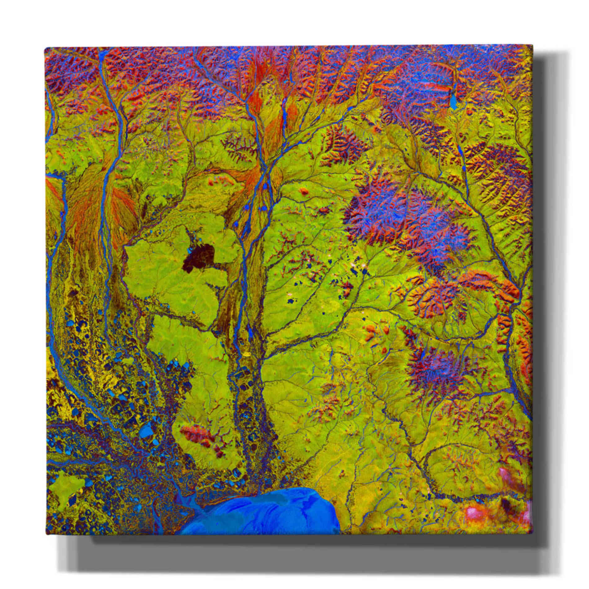 'Earth As Art: Siberian Ribbons' Canvas Wall Art