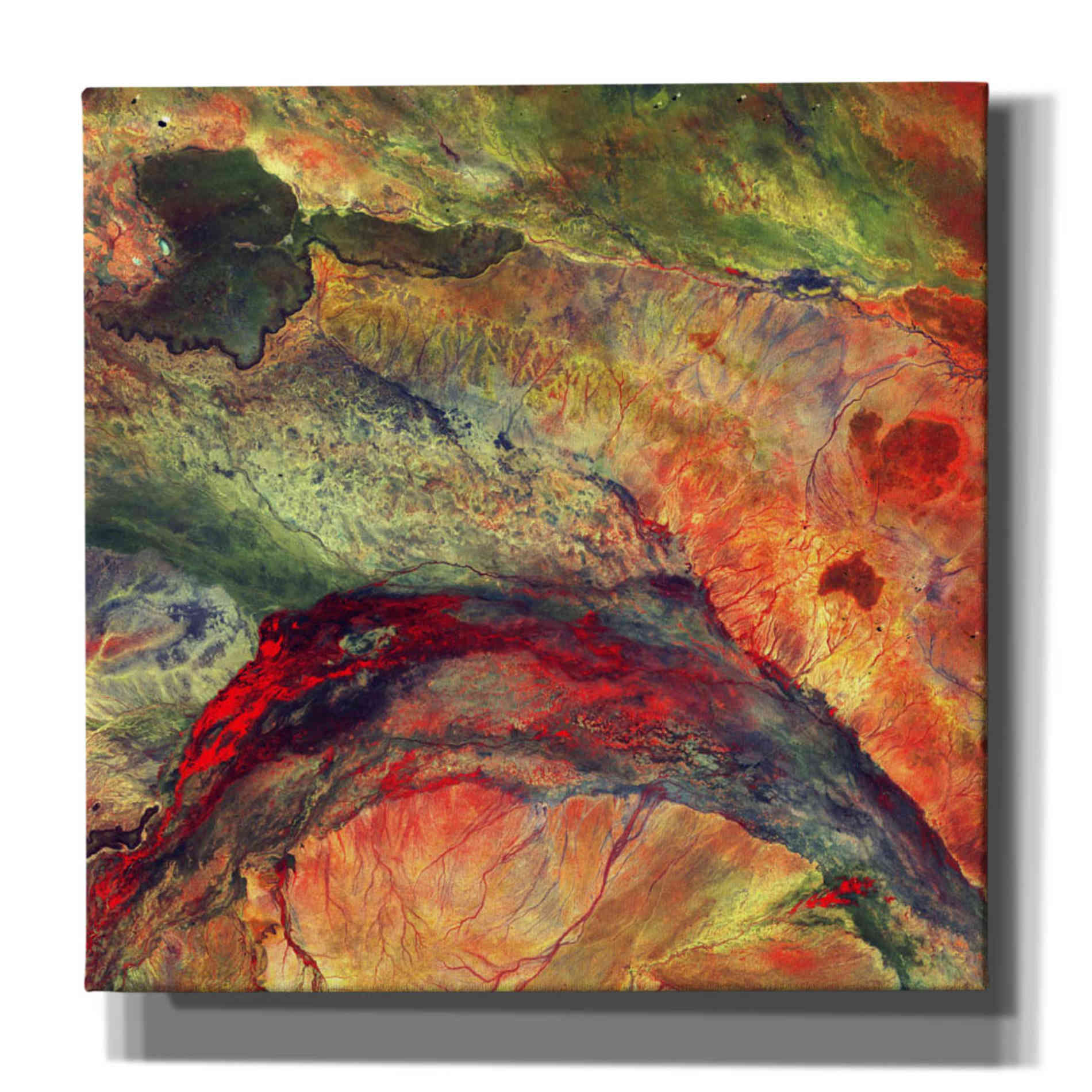 'Earth As Art: The Lorian Swamp' Canvas Wall Art