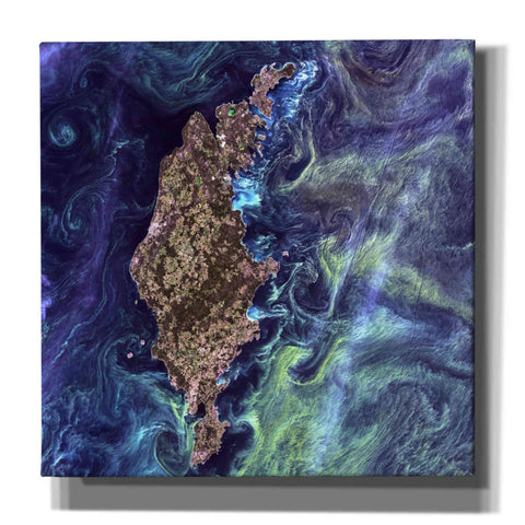Image of 'Earth As Art: Van Gogh From Space' Canvas Wall Art