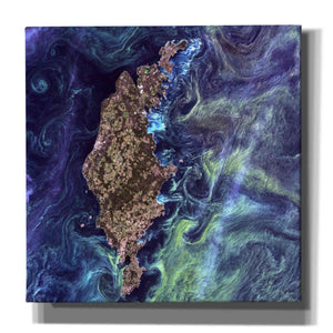 'Earth As Art: Van Gogh From Space' Canvas Wall Art