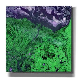 'Earth As Art: Yukon Delta' Canvas Wall Art