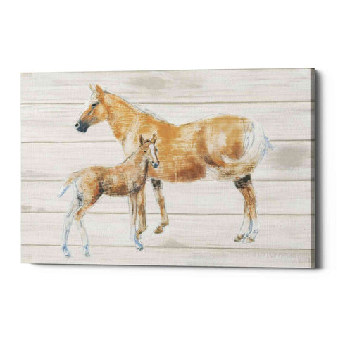Image of 'Horse and Colt on Wood' by Emily Adams, Canvas Wall Art