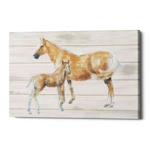 'Horse and Colt on Wood' by Emily Adams, Canvas Wall Art