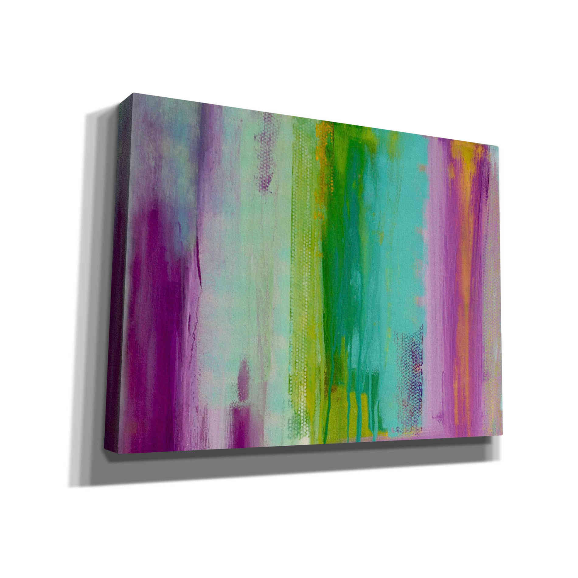 'Spring Stream I' by Erin Ashley Canvas Wall Art