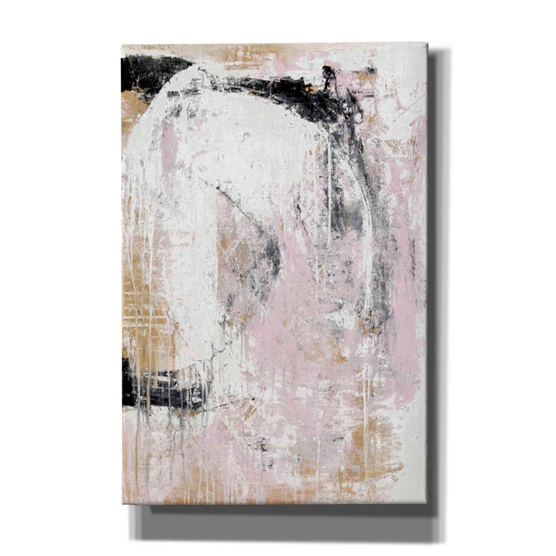 'Washed Secrets' by Erin Ashley Canvas Wall Art