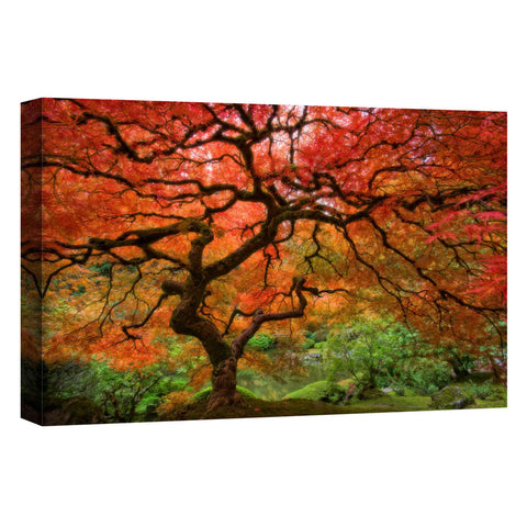 Image of 'Japanese Maple' by Jesse Estes, Canvas Wall Art