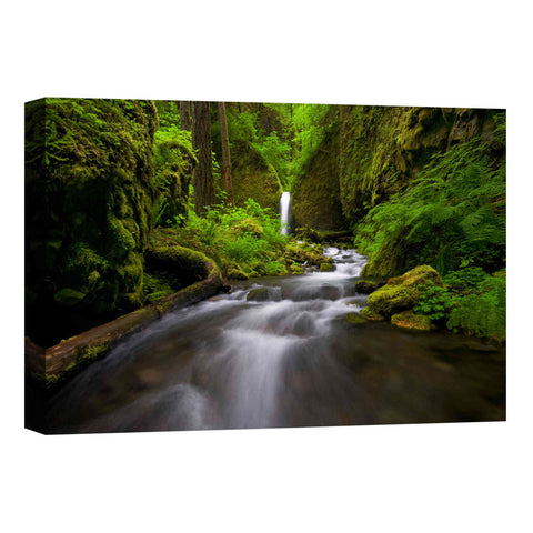 Image of 'Lushness' by Jesse Estes, Canvas Wall Art