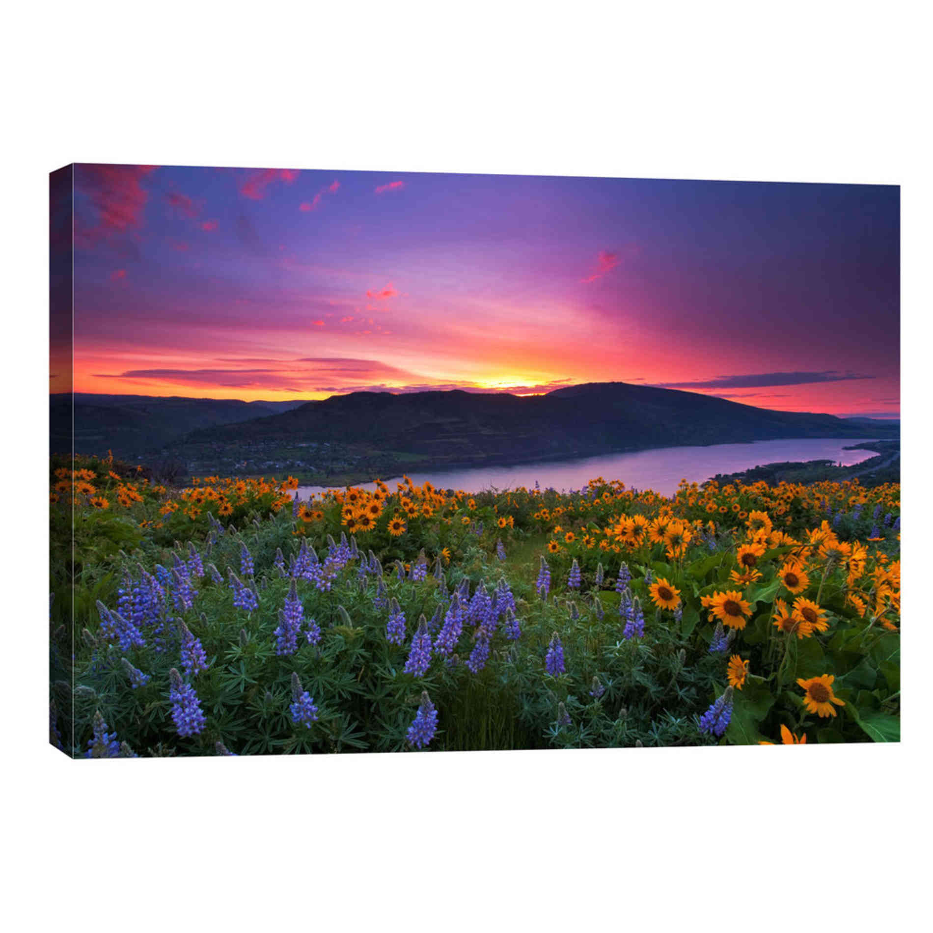 'Paradise Garden' by Jesse Estes, Canvas Wall Art