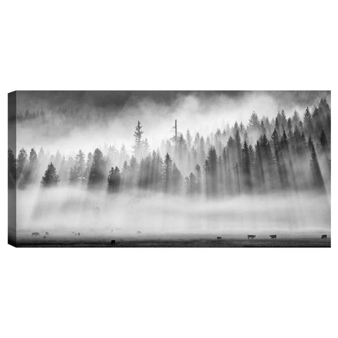 Image of 'Roaming In The Mist' by Jesse Estes, Canvas Wall Art