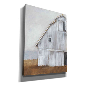 'Abandoned Barn II' by Ethan Harper Canvas Wall Art,Size B Portrait