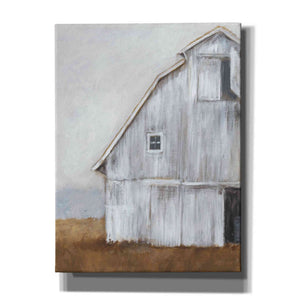 'Abandoned Barn II' by Ethan Harper Canvas Wall Art,Size B Portrait