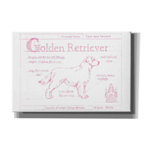 Image of 'Blueprint Golden Retriever in Pink' by Ethan Harper Canvas Wall Art,Size A Landscape
