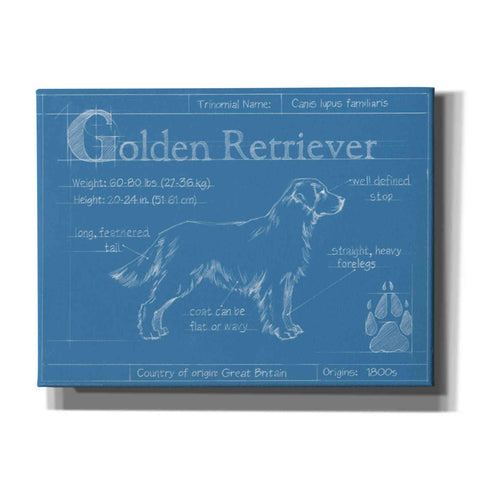 Image of 'Blueprint Golden Retriever' by Ethan Harper Canvas Wall Art,Size B Landscape