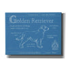 'Blueprint Golden Retriever' by Ethan Harper Canvas Wall Art,Size B Landscape