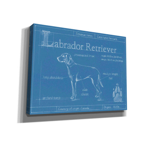Image of 'Blueprint Labrador Retriever' by Ethan Harper Canvas Wall Art,Size B Landscape