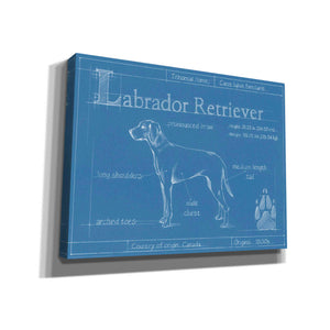 'Blueprint Labrador Retriever' by Ethan Harper Canvas Wall Art,Size B Landscape