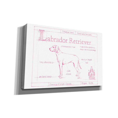 Image of 'Blueprint Labrador Retriever in Pink' by Ethan Harper Canvas Wall Art,Size A Landscape
