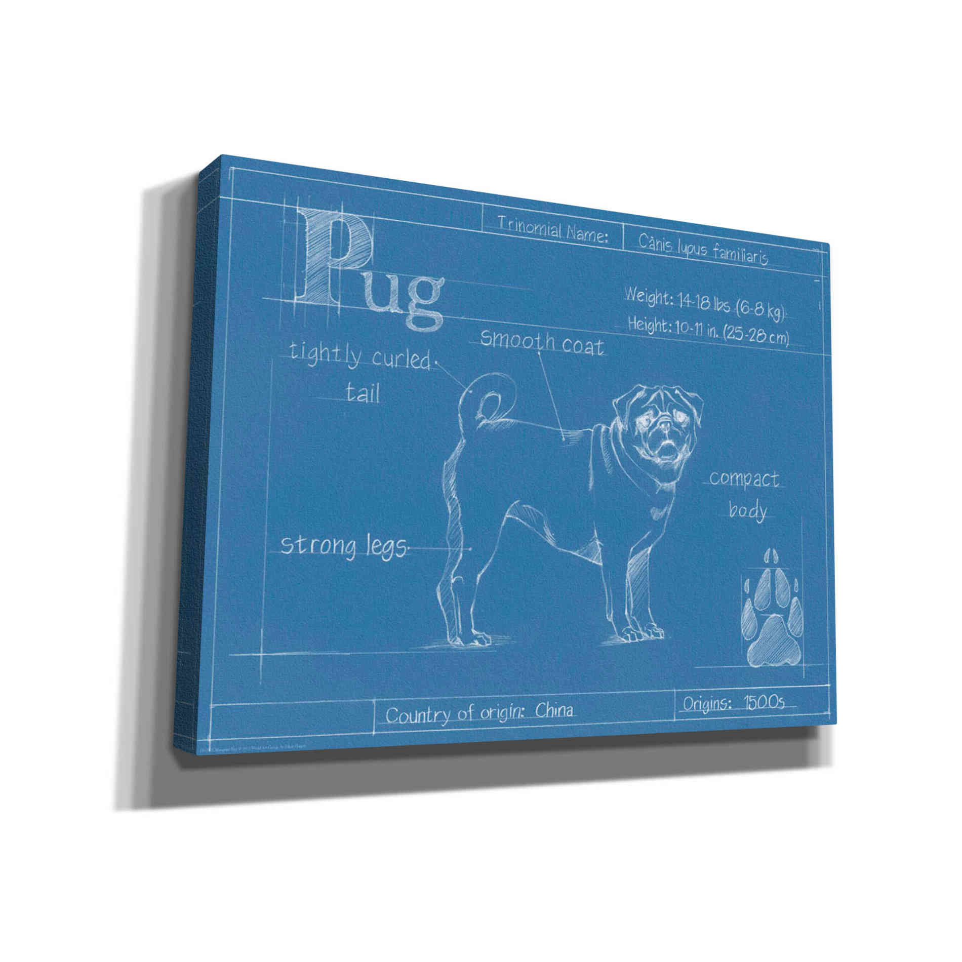 'Blueprint Pug' by Ethan Harper Canvas Wall Art,Size B Landscape