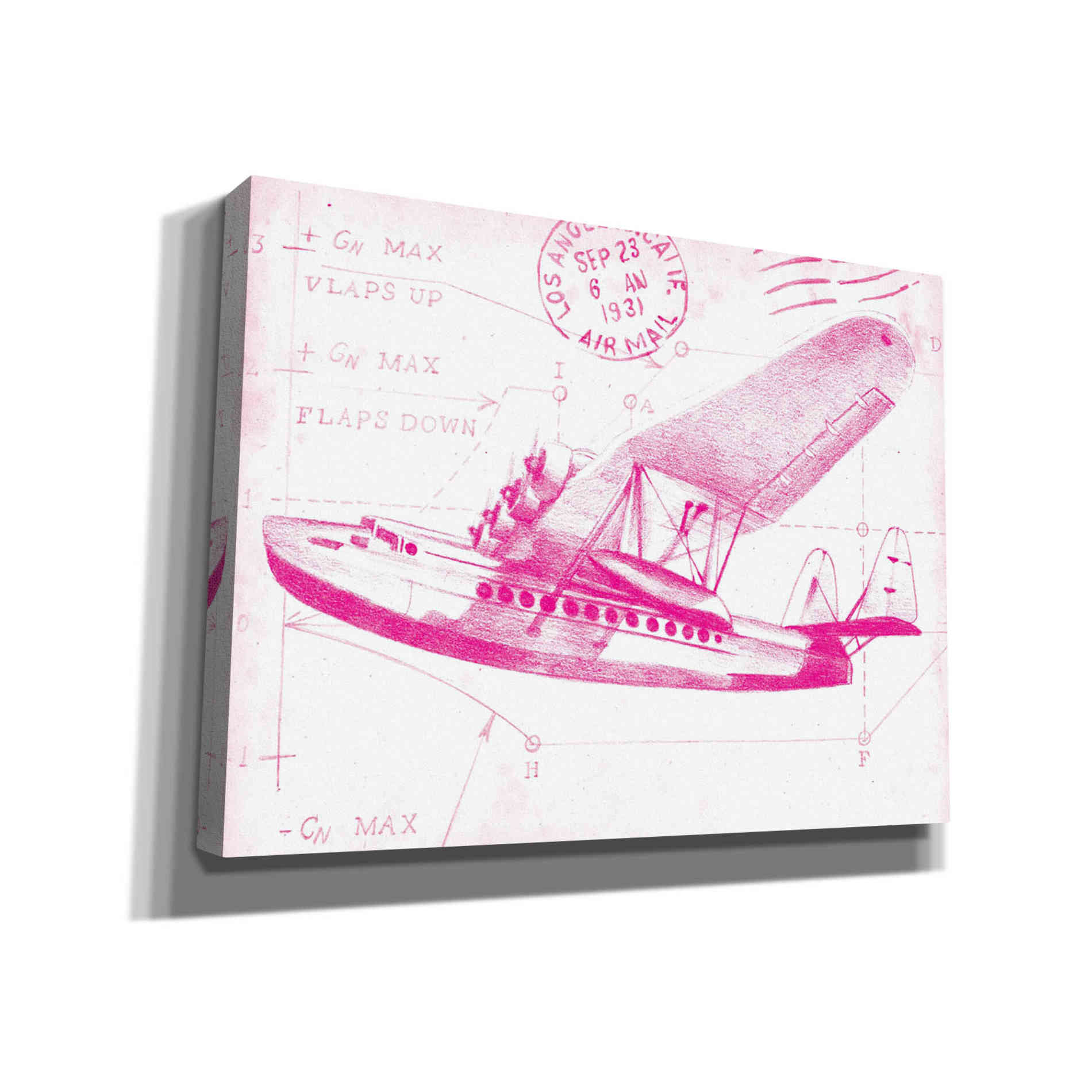 'Flight Schematic III in Pink' by Ethan Harper Canvas Wall Art,Size B Landscape