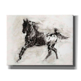 'Rustic Appaloosa II' by Ethan Harper Canvas Wall Art,Size B Landscape