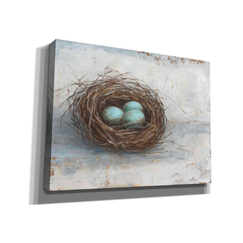 Image of 'Rustic Bird Nest I' by Ethan Harper Canvas Wall Art,Size C Landscape