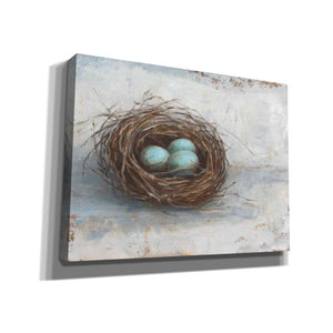 'Rustic Bird Nest I' by Ethan Harper Canvas Wall Art,Size C Landscape