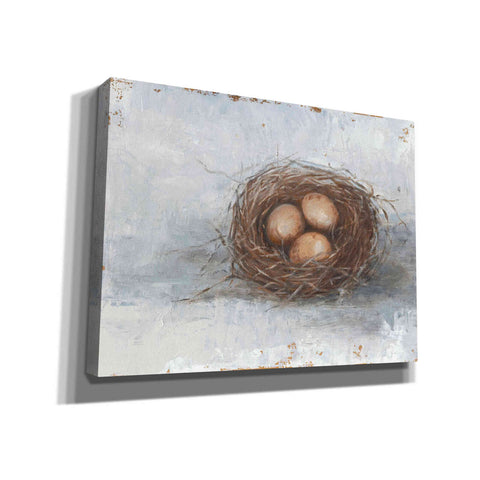 Image of 'Rustic Bird Nest II' by Ethan Harper Canvas Wall Art,Size C Landscape