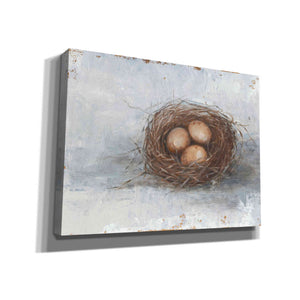 'Rustic Bird Nest II' by Ethan Harper Canvas Wall Art,Size C Landscape