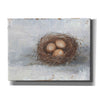 'Rustic Bird Nest II' by Ethan Harper Canvas Wall Art,Size C Landscape