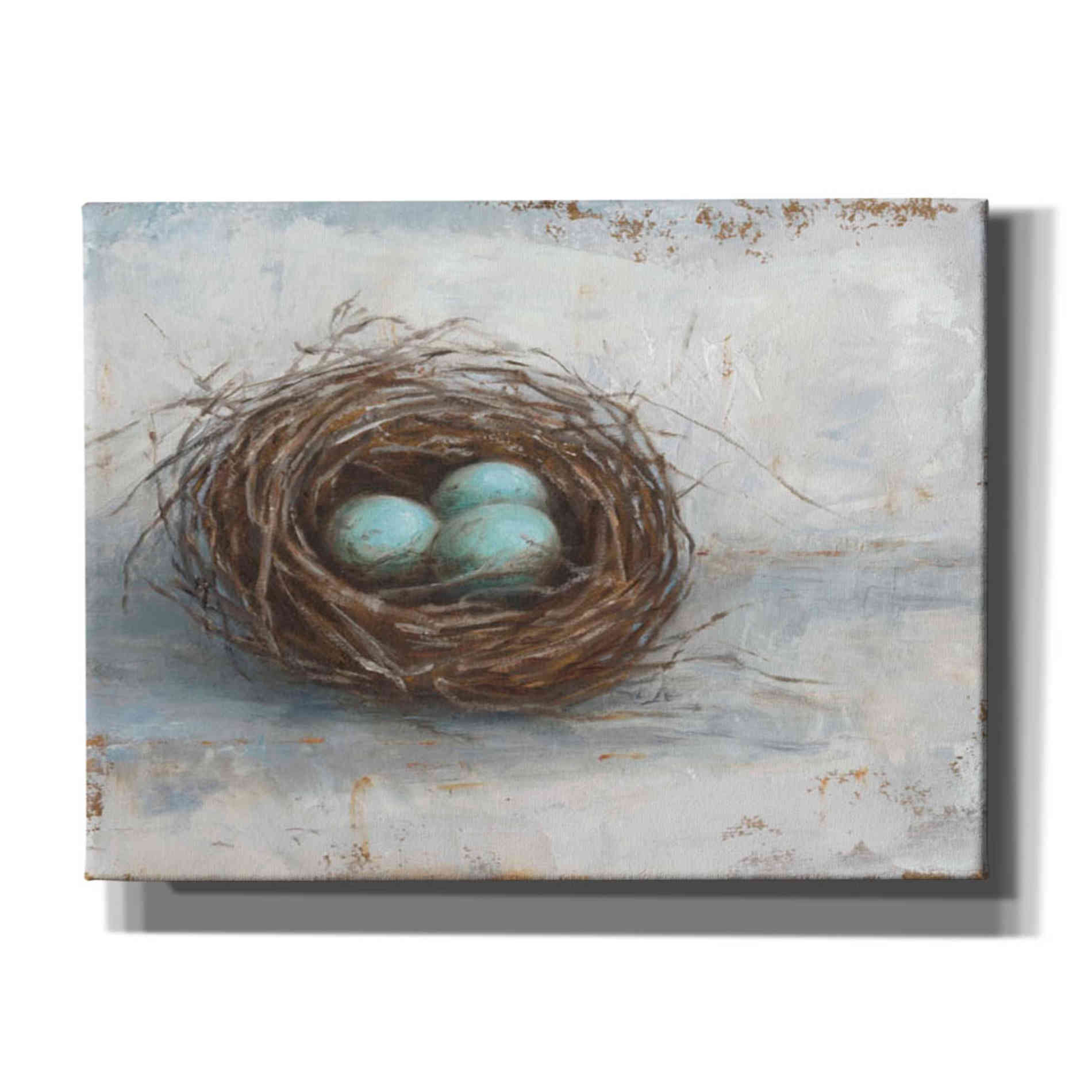 'Rustic Bird Nest I' by Ethan Harper Canvas Wall Art,Size C Landscape