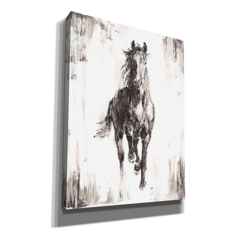 Image of 'Rustic Black Stallion I' by Ethan Harper Canvas Wall Art,Size B Portrait