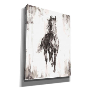 'Rustic Black Stallion I' by Ethan Harper Canvas Wall Art,Size B Portrait