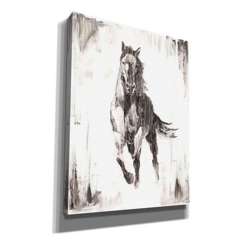 Image of 'Rustic Black Stallion II' by Ethan Harper Canvas Wall Art,Size B Portrait