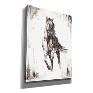 'Rustic Black Stallion II' by Ethan Harper Canvas Wall Art,Size B Portrait