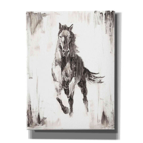 Image of 'Rustic Black Stallion II' by Ethan Harper Canvas Wall Art,Size B Portrait