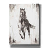 'Rustic Black Stallion II' by Ethan Harper Canvas Wall Art,Size B Portrait