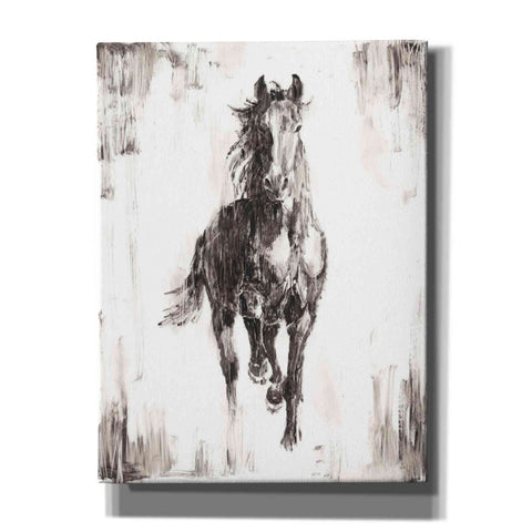 Image of 'Rustic Black Stallion I' by Ethan Harper Canvas Wall Art,Size B Portrait