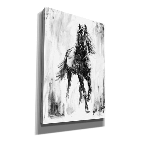 Image of 'Rustic Stallion I' by Ethan Harper Canvas Wall Art,Size B Portrait