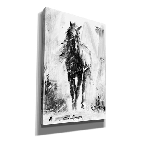 Image of 'Rustic Stallion II' by Ethan Harper Canvas Wall Art,Size B Portrait
