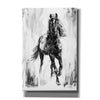 'Rustic Stallion I' by Ethan Harper Canvas Wall Art,Size B Portrait
